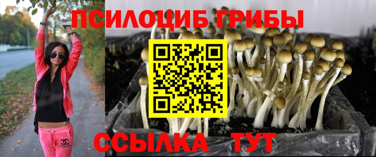 Заринск  наркошоп  Вход с VPN  Галлюциногенные грибы MAGIC MUSHROOMS 